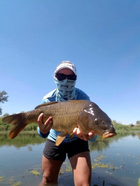 fly fishing for carp (2)