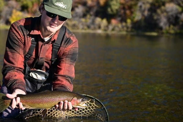 Montana's Missouri River: 2026 Fly-Fishing Forecast