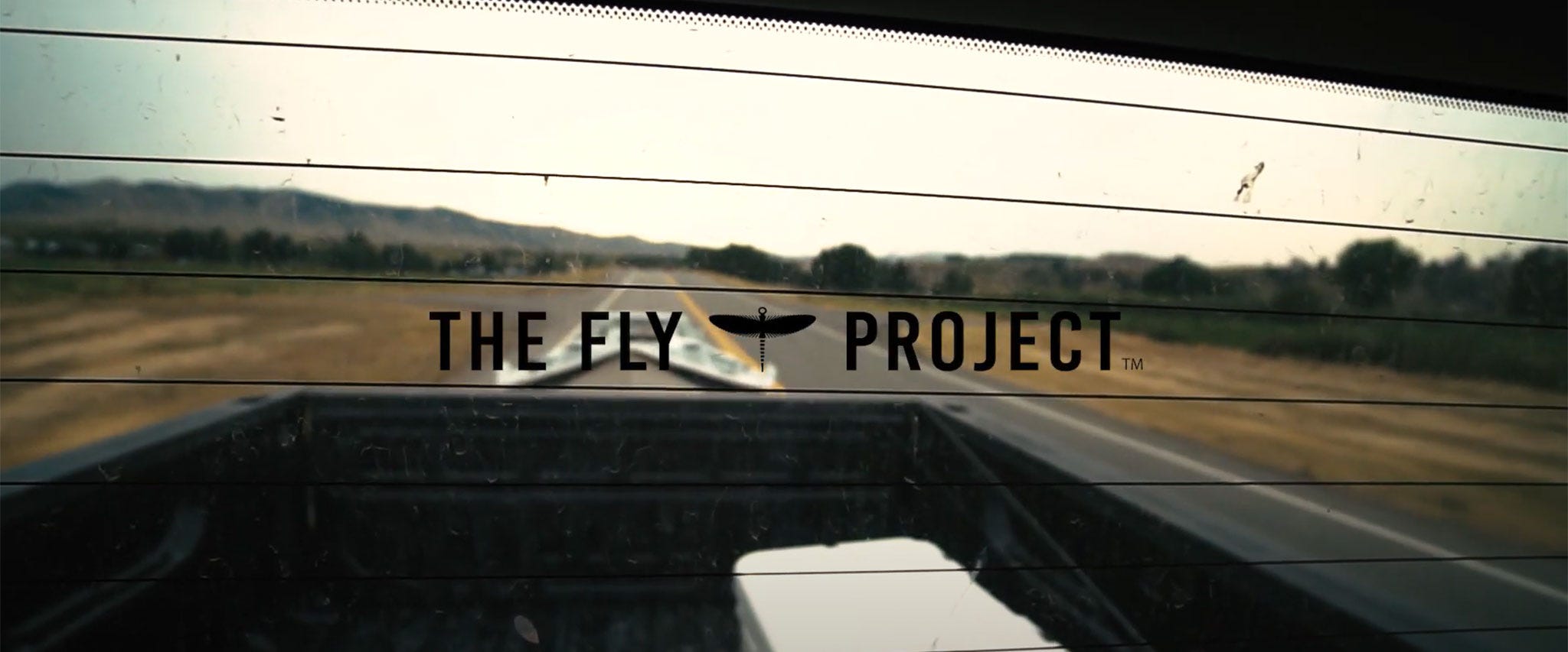 Project in the Wild #8