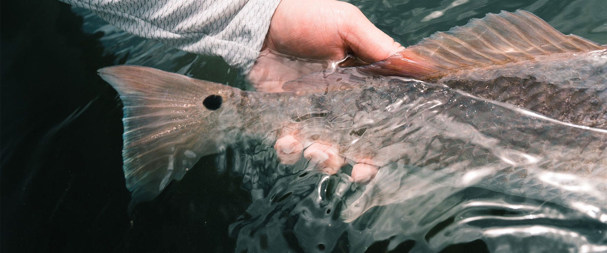 Fly Fishing for Redfish | The Texas Coast