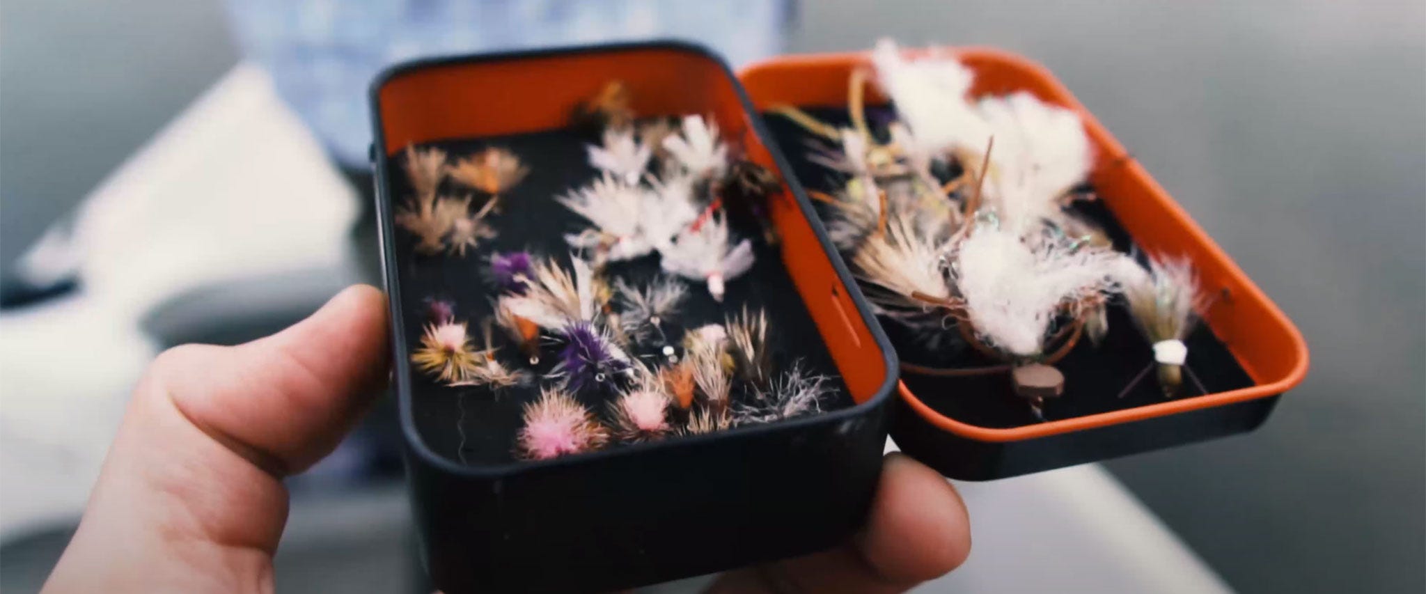 Project in the Wild #10