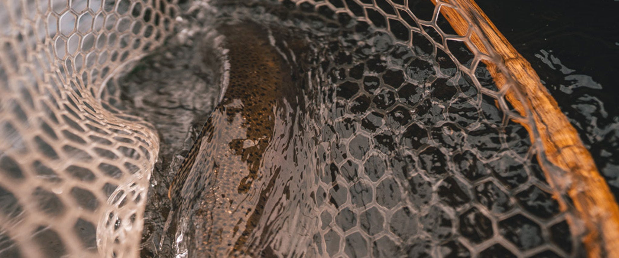 Missouri River Float Guide Recommendations for Fly Fishing