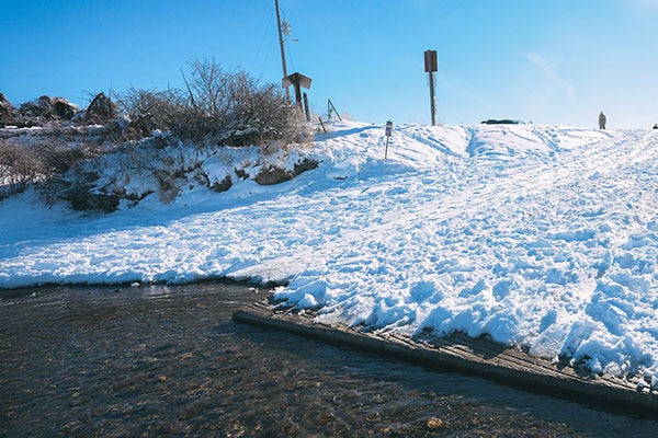 Winter on the 'Horn: Fishing Thru a Bighorn River Waterfowl Die-Off