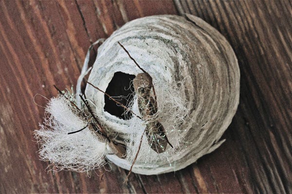 Is The Chubby Chernobyl the best dry fly in the world?