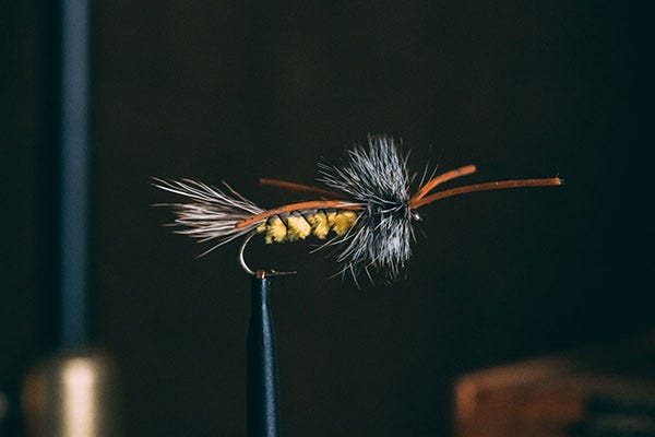 The Best Fly for the Smith River: The Crazy Goof