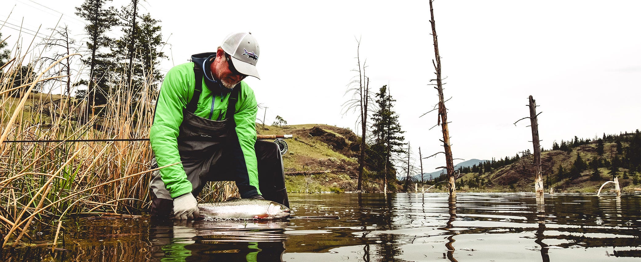 Hatch Guide: Damselflies