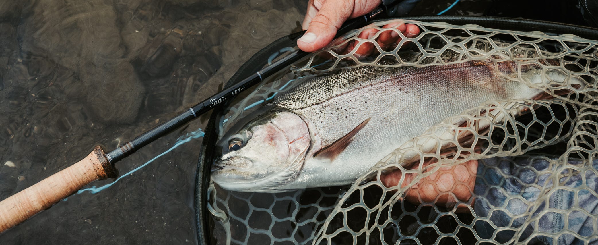 Montana's Missouri River: 2026 Fly-Fishing Forecast