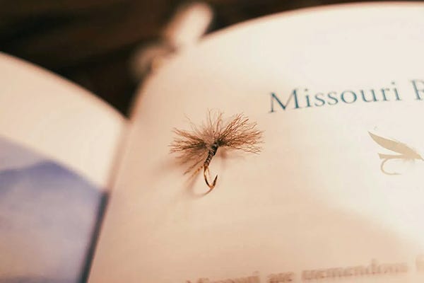 The Flying V:  A Blue Wing Olive Pattern for Flat Water