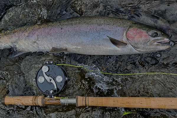 Local's Knowledge: Lee Davison's Favorite Inland Steelhead Setup
