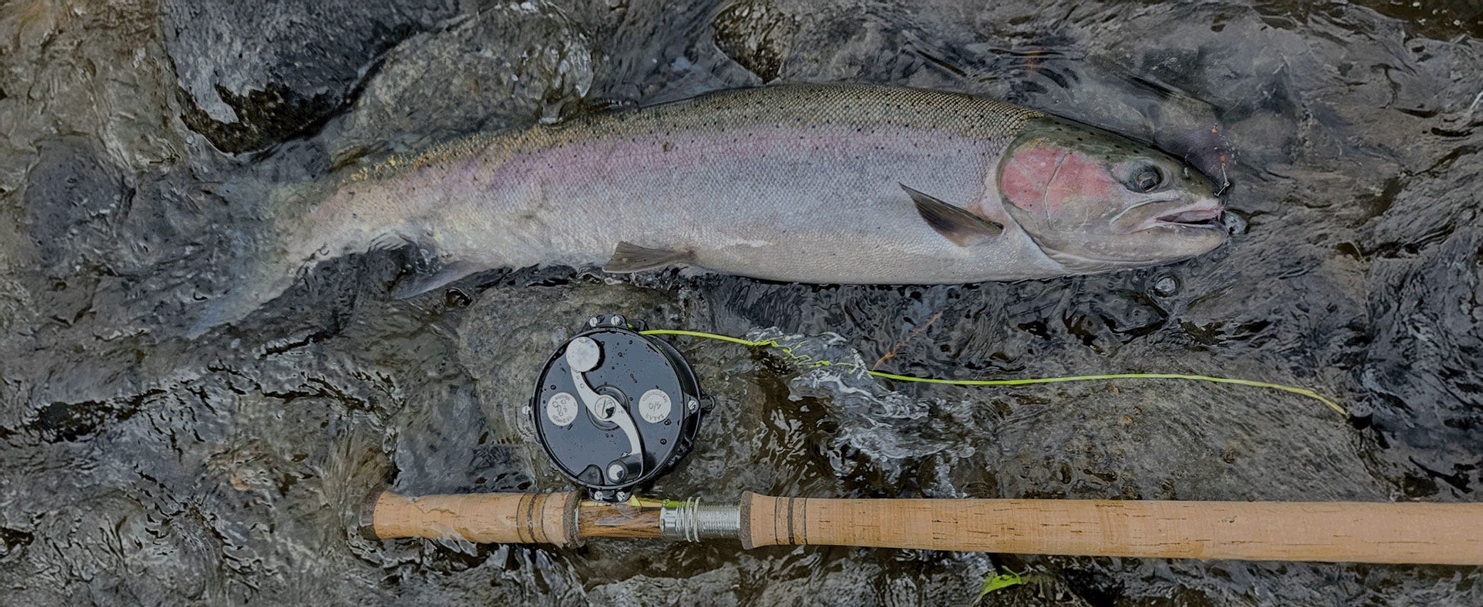 Local's Knowledge: Lee Davison's Favorite Inland Steelhead Setup