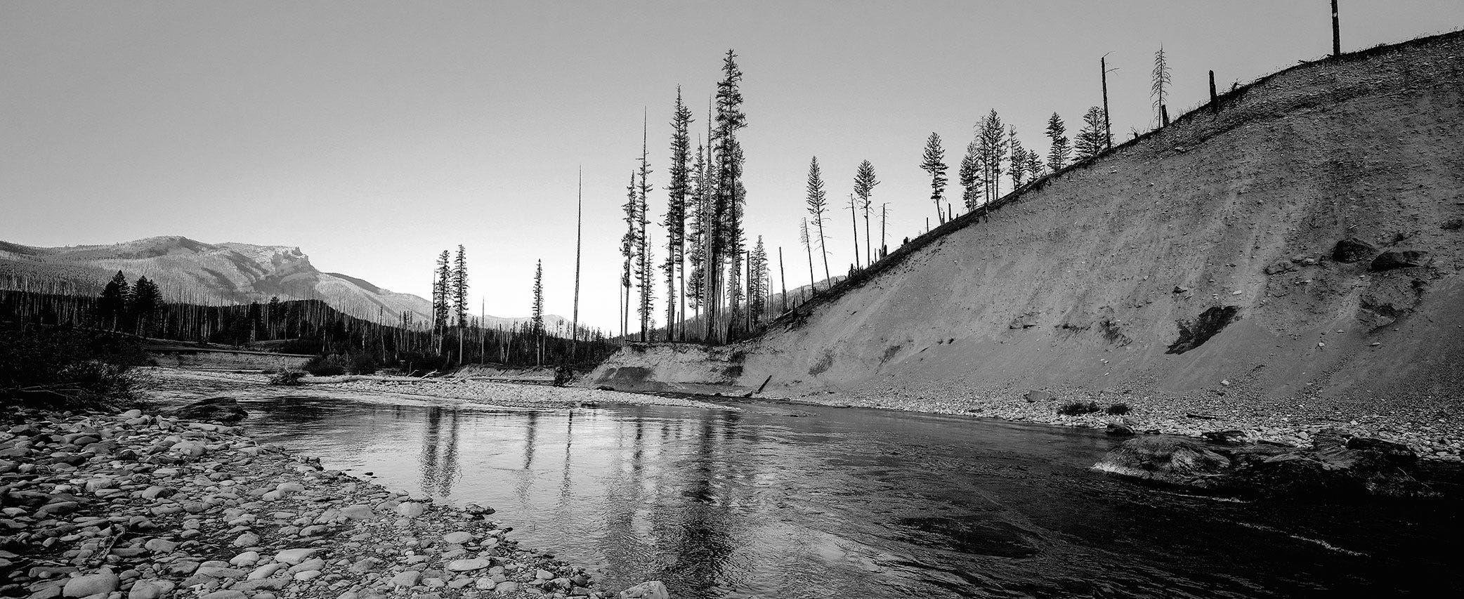 Gary LaFontaine and The Life of Flies