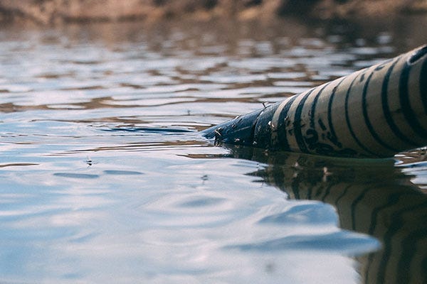 Spring Fishing on Montana's Missouri River