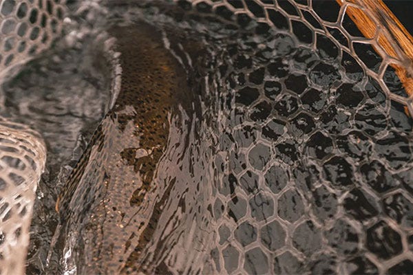 Missouri River Float Guide Recommendations for Fly Fishing