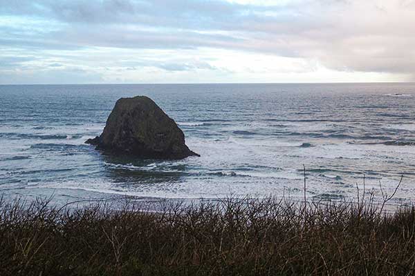 Wild Steelhead and a Bunny Named Nutsack