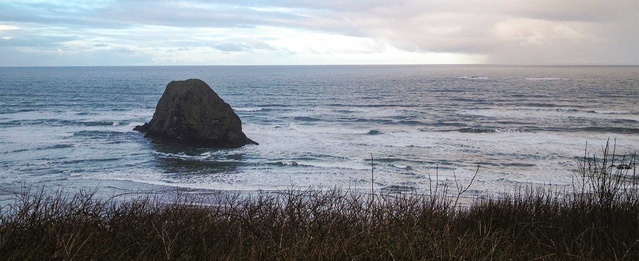 Wild Steelhead and a Bunny Named Nutsack