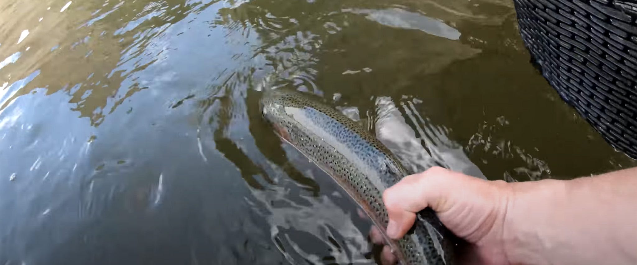 Project in the Wild #6 