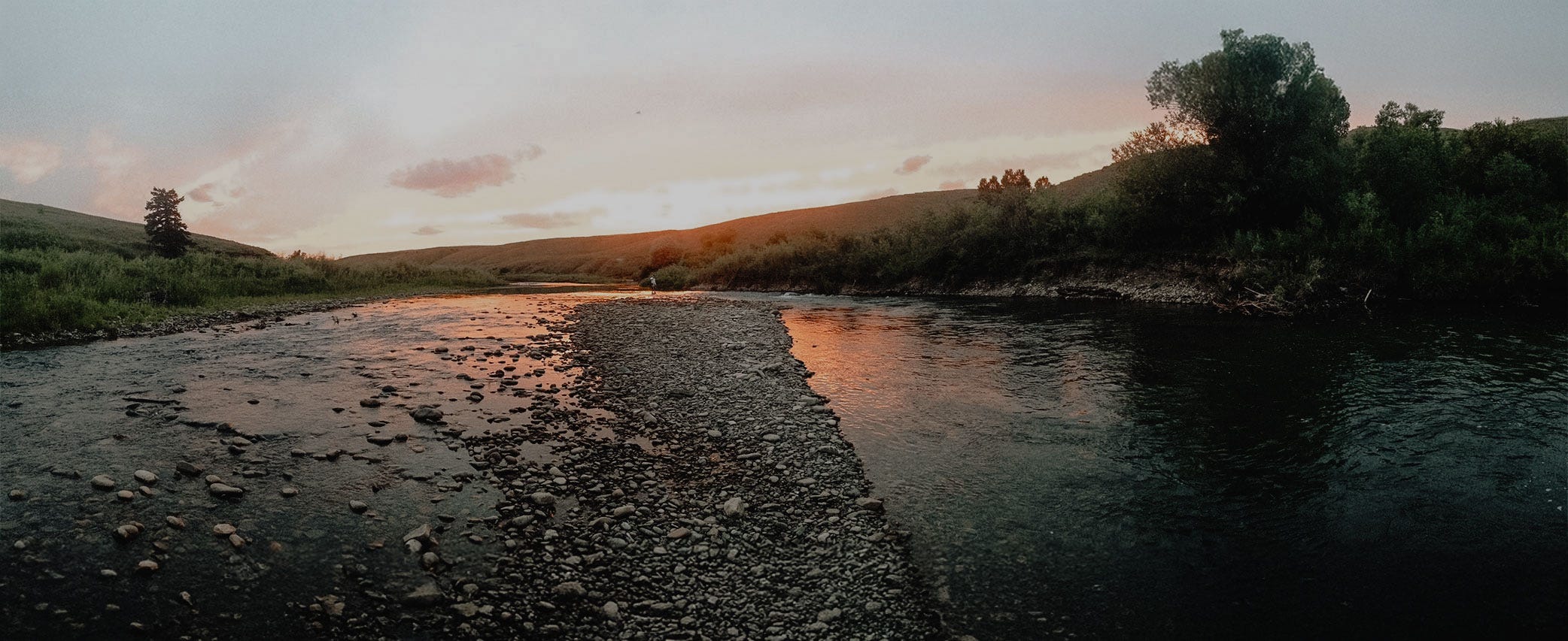 Project In The Wild #29: Mid-Summer Montana