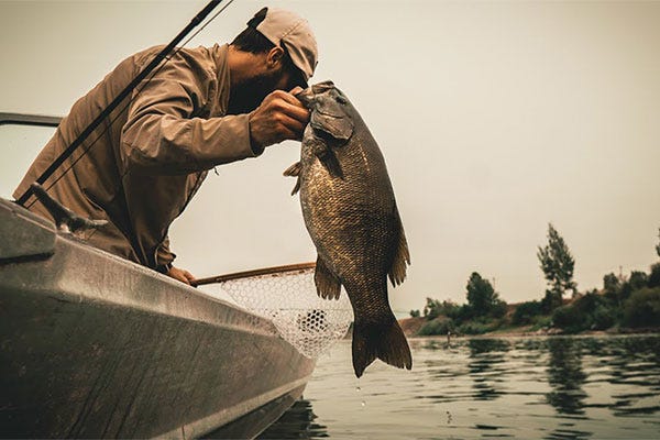 This is Why We Came Here