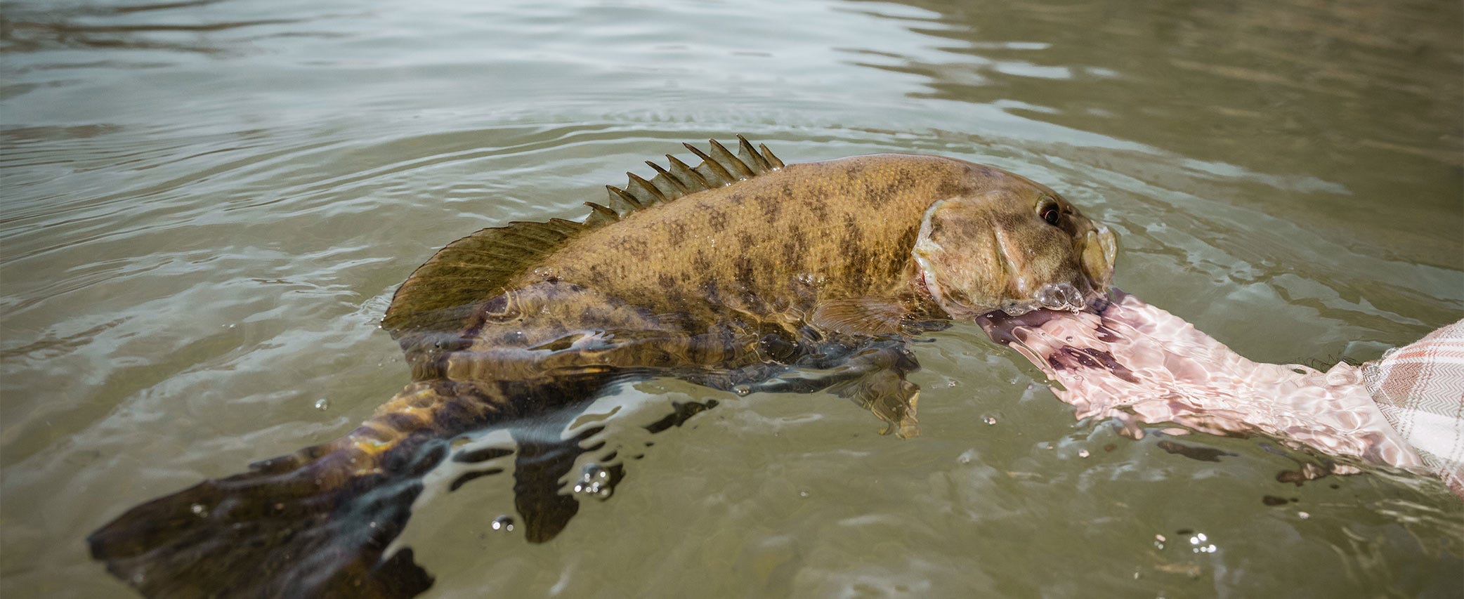 This is Why We Came Here