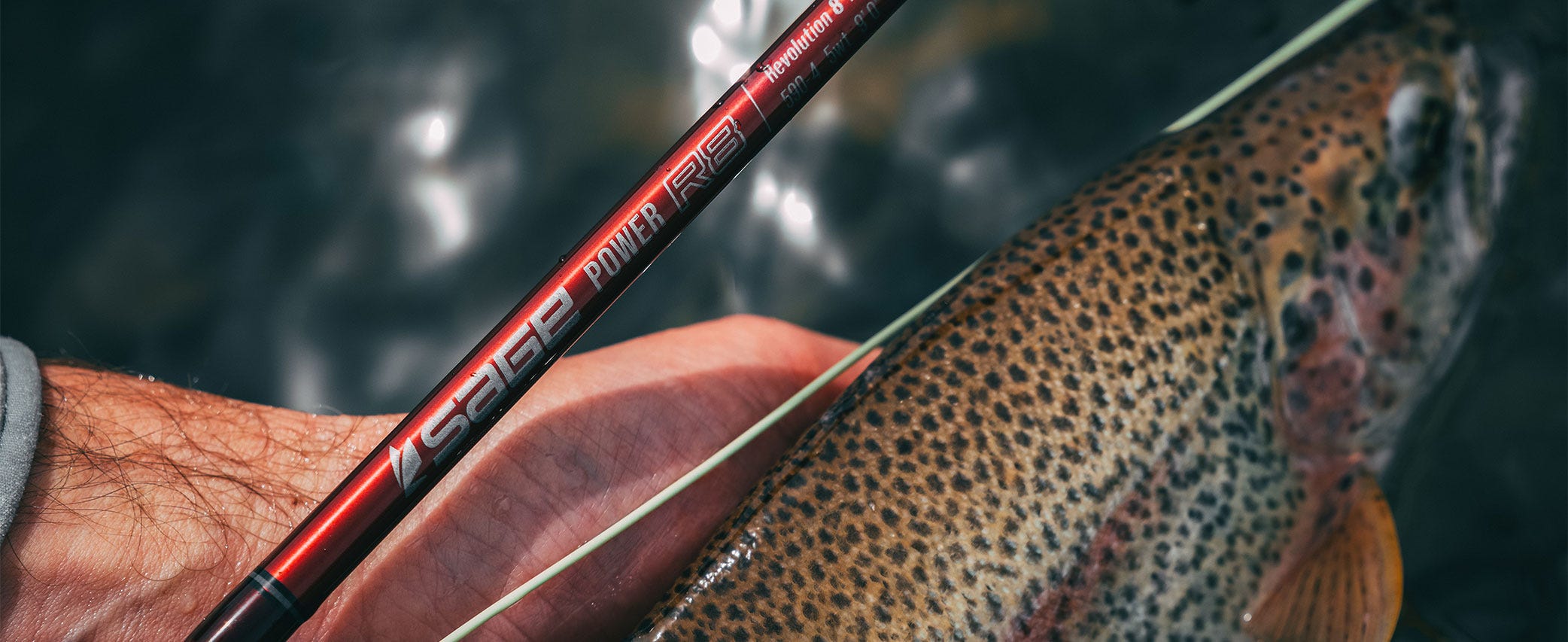 Sage Power R8: Redefining "Fast" with Control and Confidence