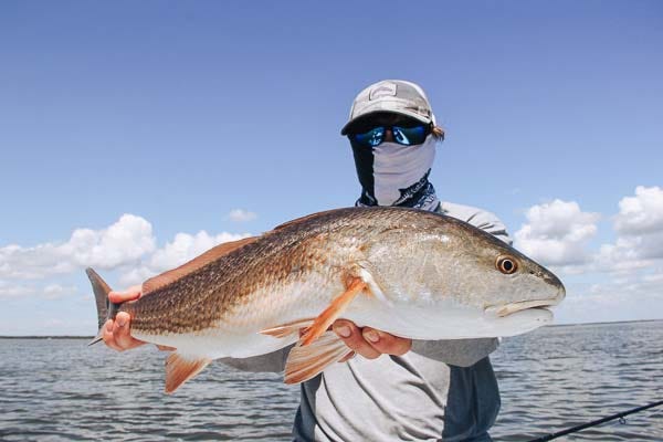 The Pearl of Mosquito Lagoon