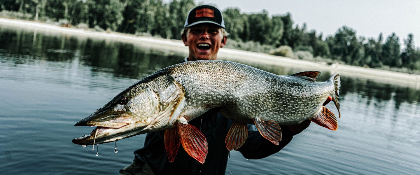 Esox Lucius - The Search for a 40" Montana River Pike