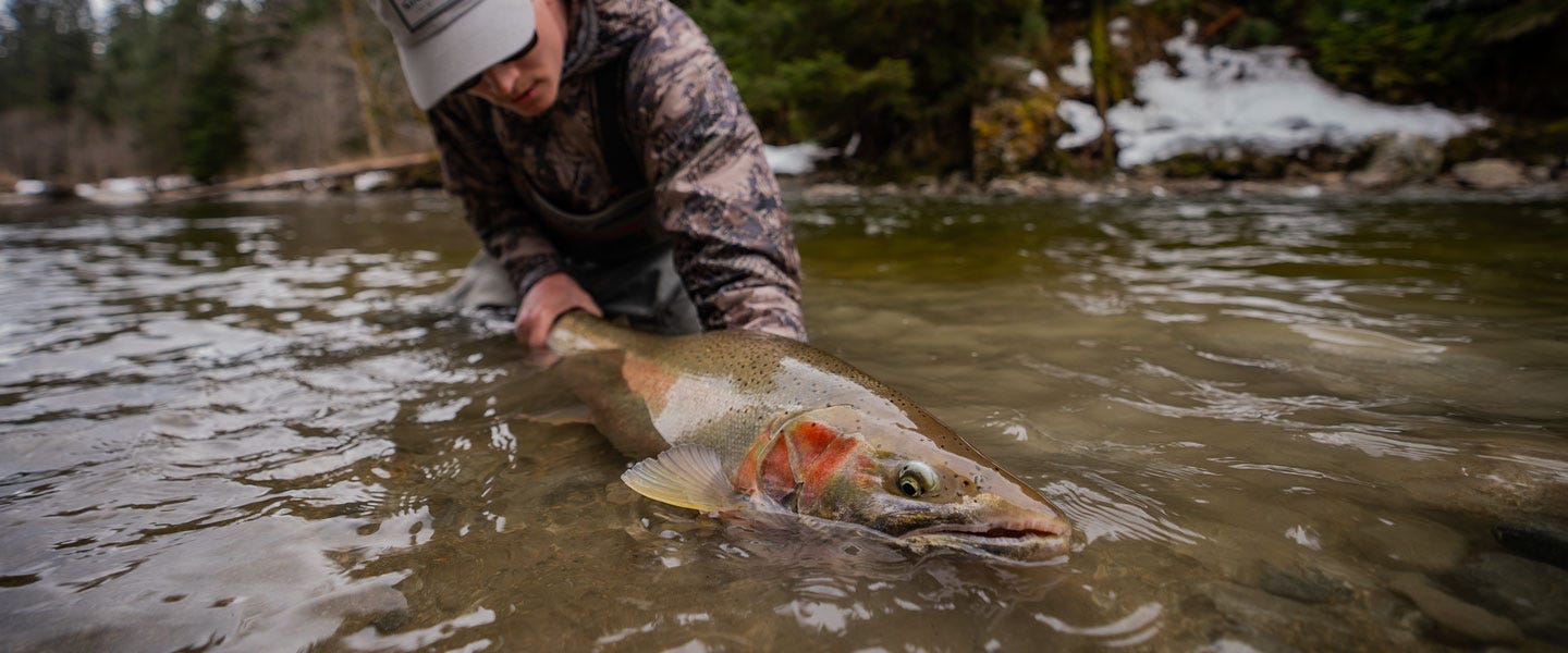 Mind Game: Finding Wild Steelhead in British Columbia