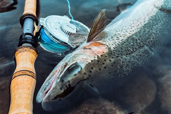 A Spey Rod Built for Idaho's Clearwater River