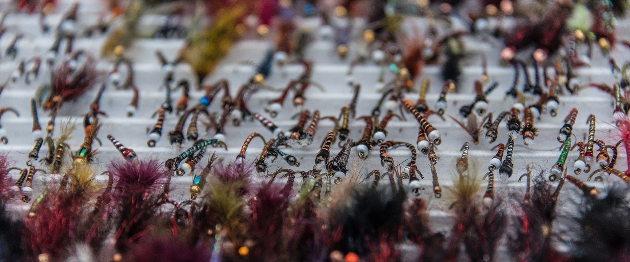 Phil Rowley Has A Chironomid Problem