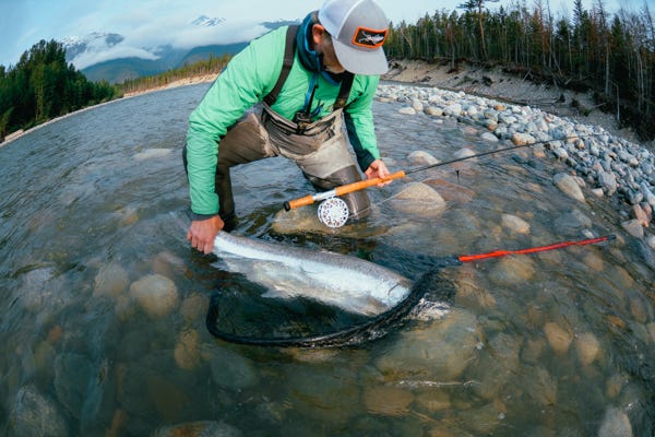 Death To The Angling Doomscroll