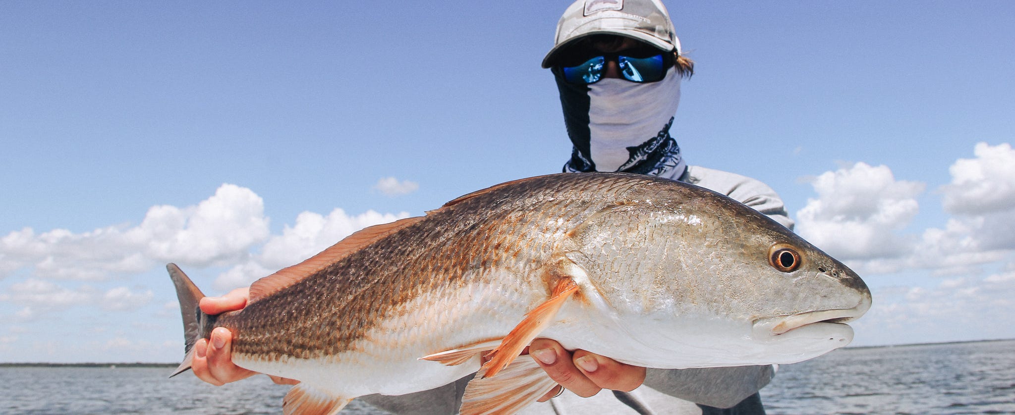 The Pearl of Mosquito Lagoon