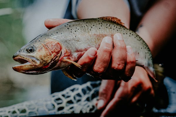 Fishing the Calendar in Eastern Washington