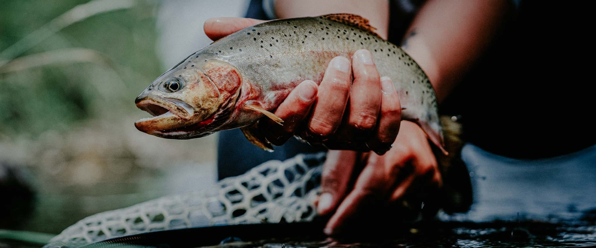 Fishing the Calendar in Eastern Washington
