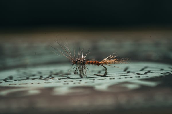 Wike's Tailwater PMD Cripple