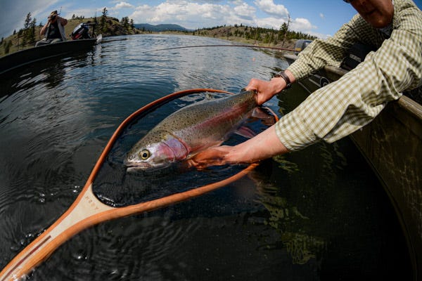 DIY Road Trip: British Columbia