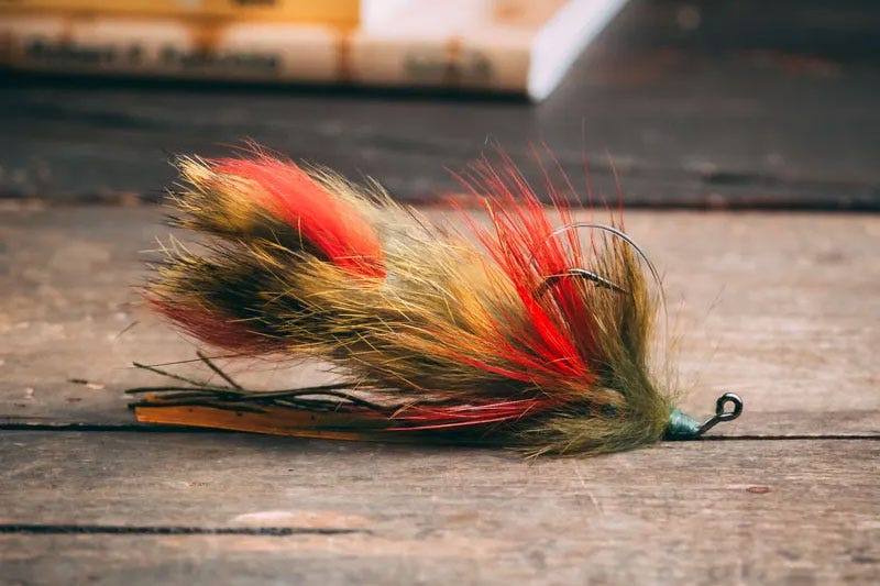 Big Daddy Craw - Olive - 6