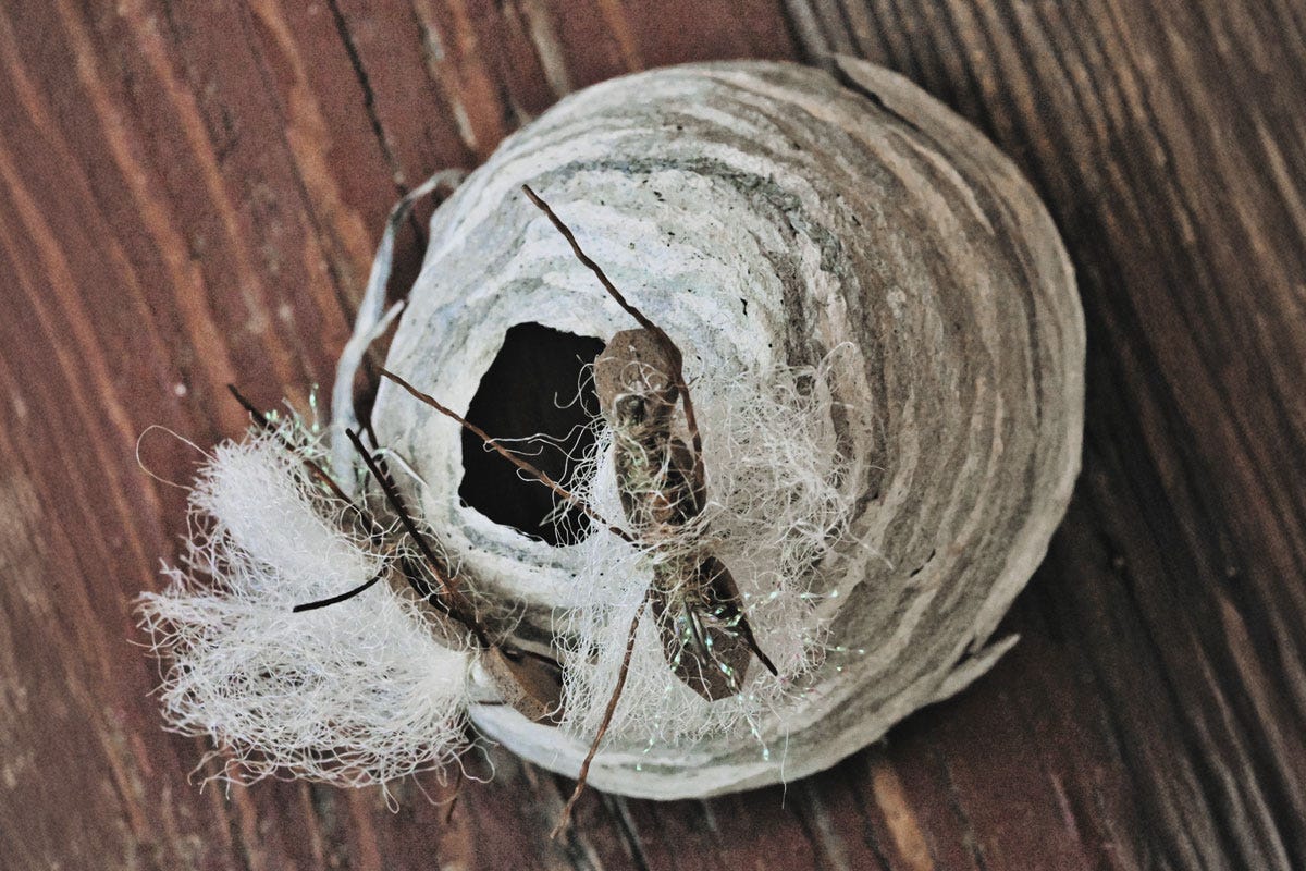 Chubby Chernobyl flies