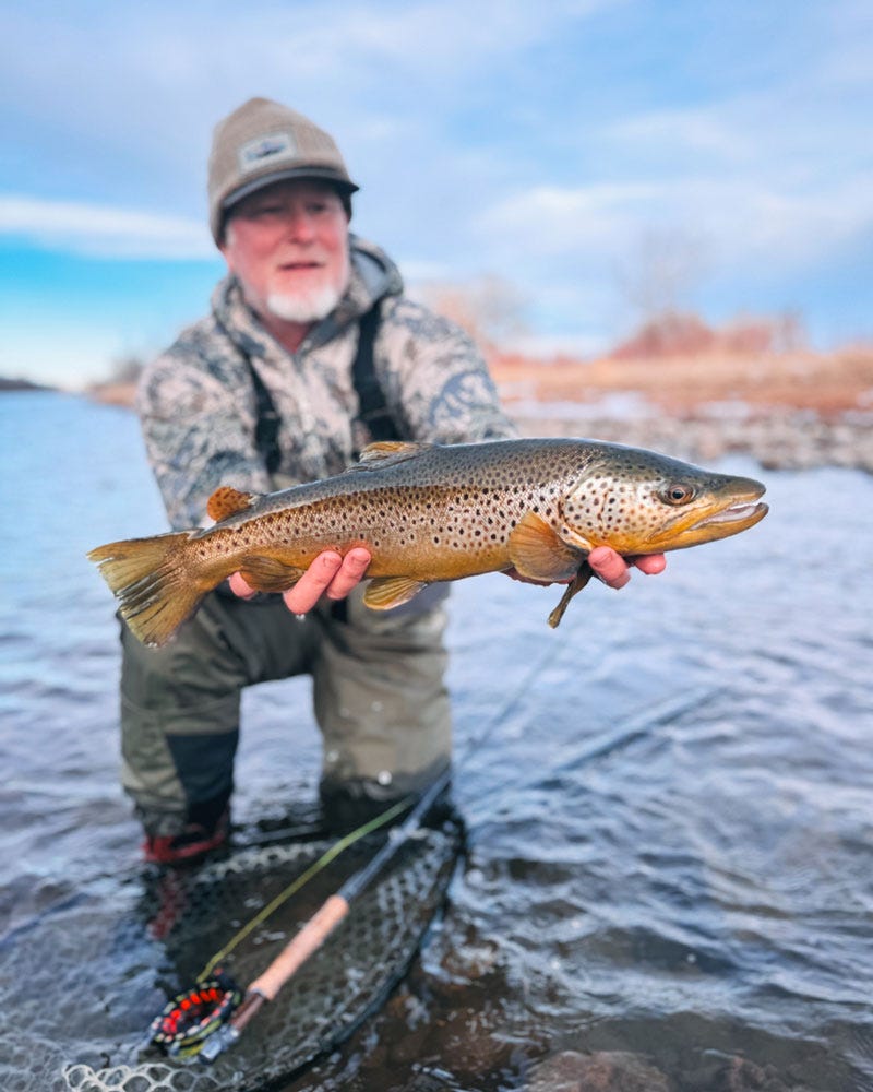 Bighorn River Winter Brown Trout