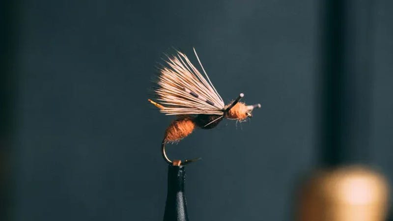 Kelly Galloup High Vis Ant Acid Kelly Galloup High Vis Ant Acid