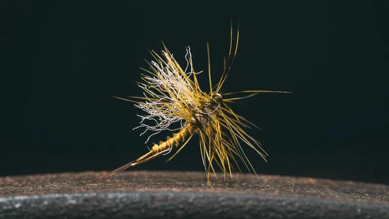 Kelly Galloups Bent Cripple Kelly Galloups Bent Cripple