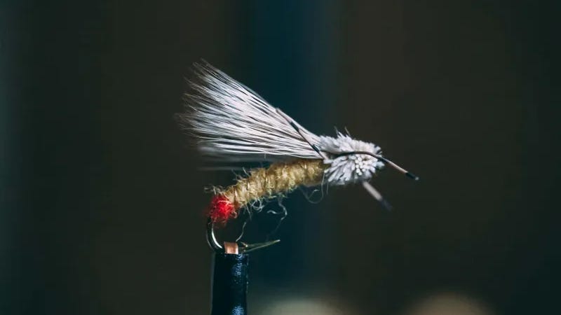 Kelly Galloups Working Girl Sally Kelly Galloups Working Girl Sally