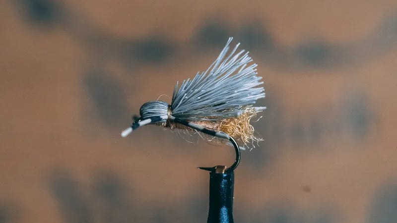 Kelly Galloup Butch Caddis Kelly Galloup Butch Caddis