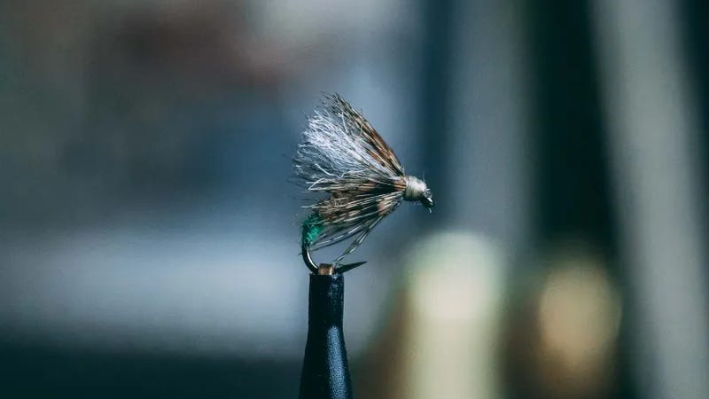 Kelly Galloups Downed Caddis Kelly Galloups Downed Caddis