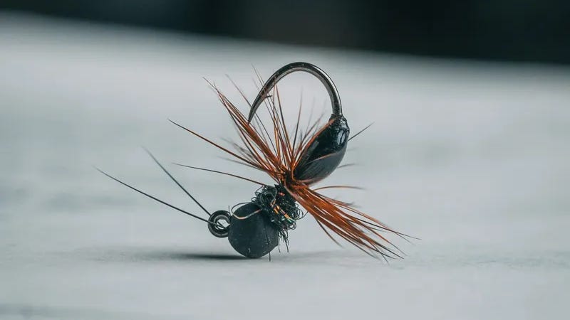 Kelly Galloups Drowned Ant Kelly Galloups Drowned Ant