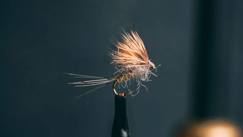 Kelly Galloup Found Link Kelly Galloup Found Link