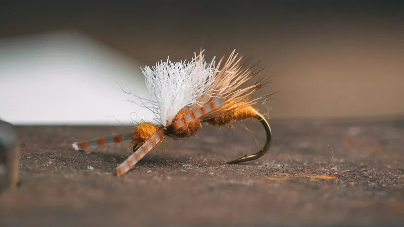 Kelly Galloup High Vis Ant Acid Kelly Galloup High Vis Ant Acid