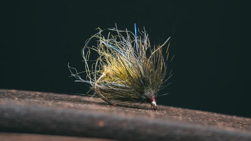 Kelly Galloups UV Caddis Pupa Kelly Galloups UV Caddis Pupa