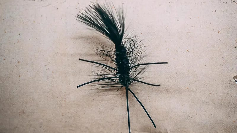 Kelly Galloups Warbird Kelly Galloups Warbird