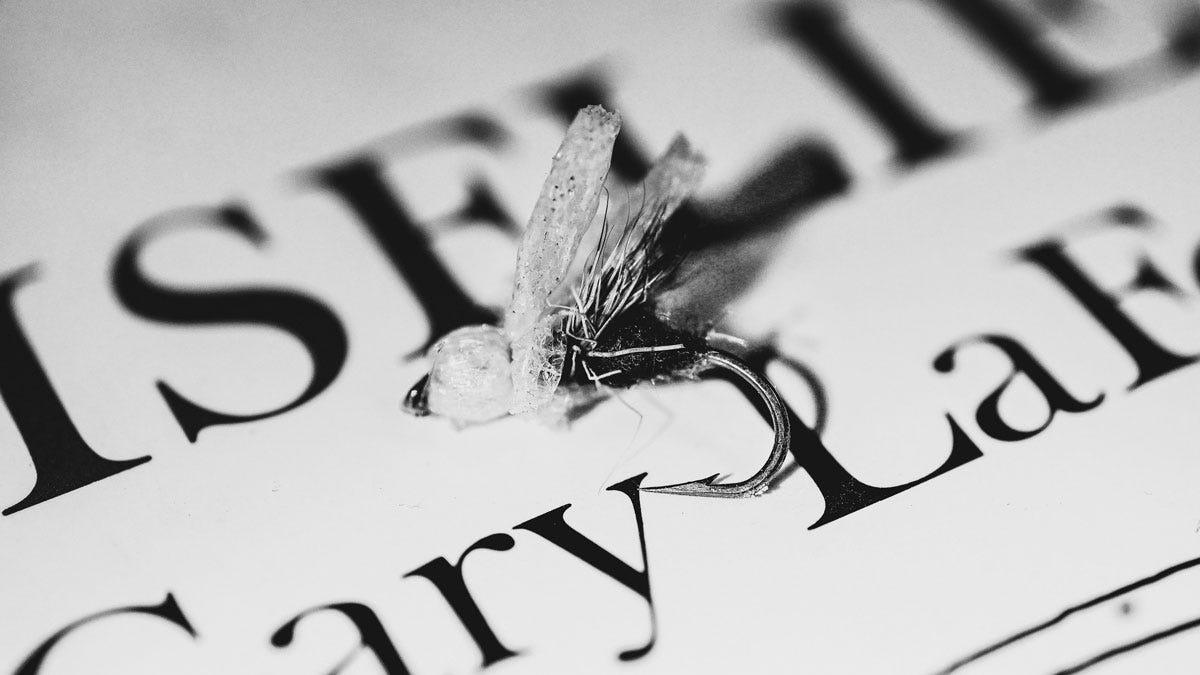 Airhead Illustration