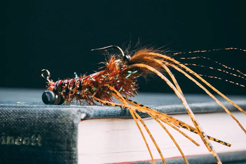 Riendeau's Craw - Brown - 4